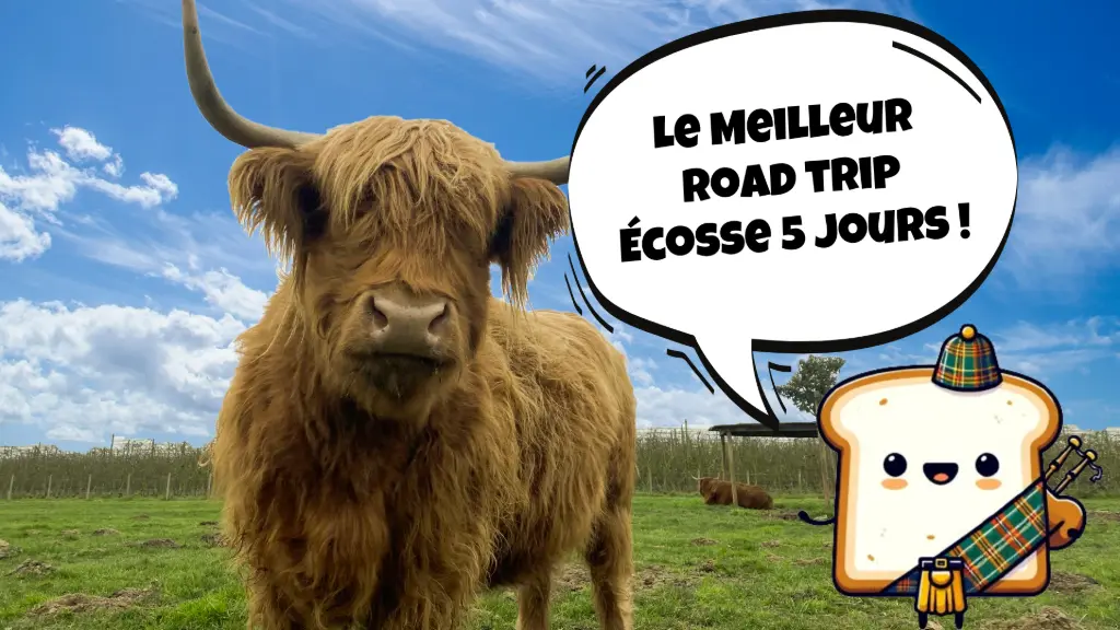road trip ecosse 5 jours