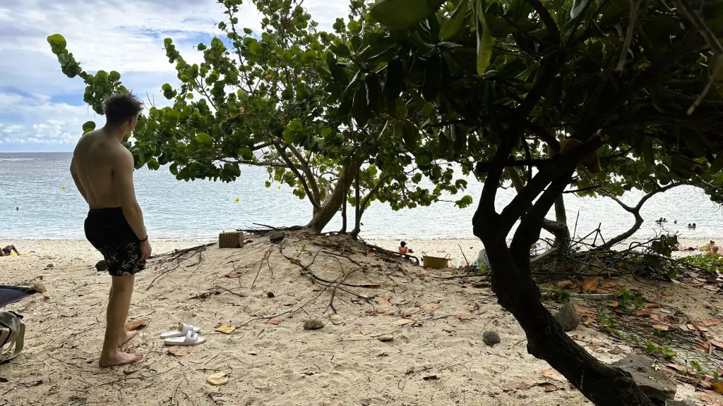 plage de l'hermitage réunion