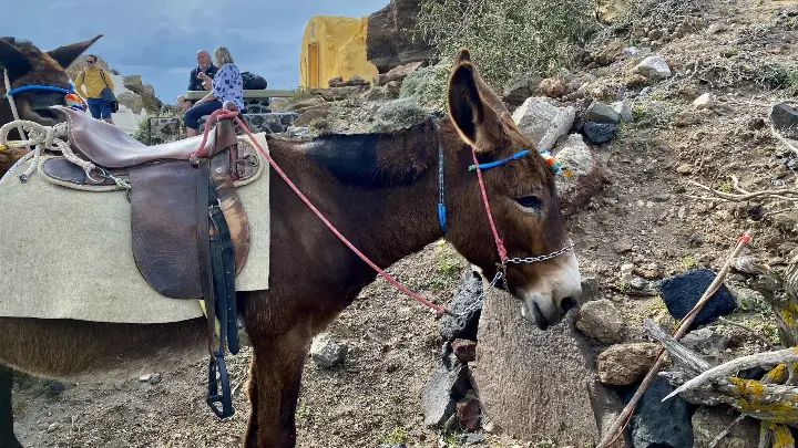 randonnée à santorin en avril