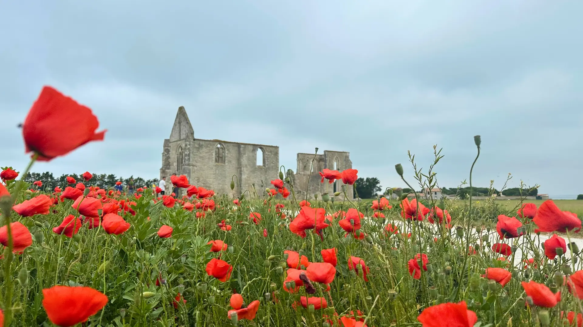 abbaye de l'île de Ré en 3 jours